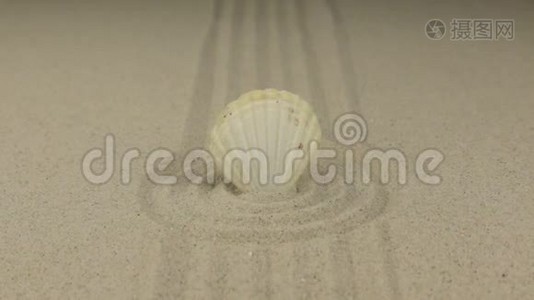 一只白色贝壳在一圈沙子中的放大。视频