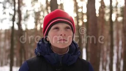 戴红帽子的男孩在雪林视频