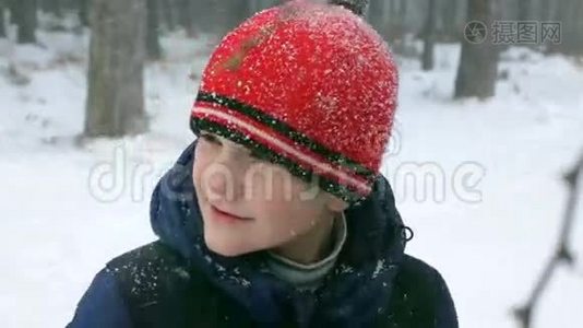 戴红帽子的男孩在雪林视频