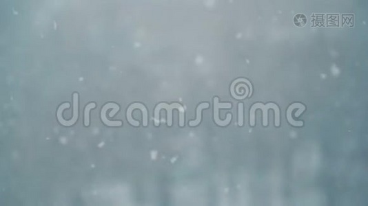 降雪的缓慢运动。视频