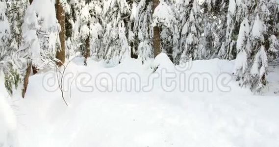 女子滑雪板穿过森林4K视频