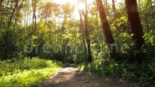 公园里骑自行车的女孩。 年轻运动女孩在森林里骑自行车视频