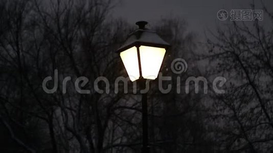 公园里的灯笼和雪视频