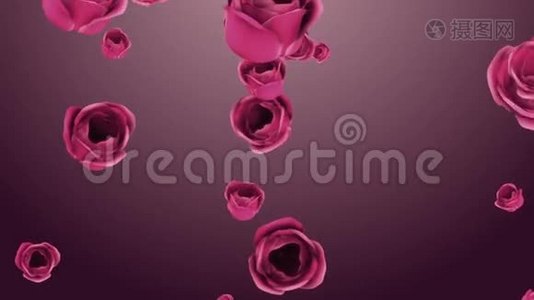 飘落的粉红色玫瑰，背景美丽视频