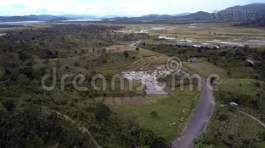 农村地区有稻田住房的村庄视频