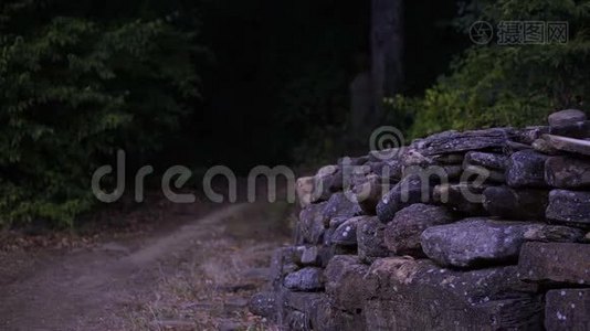 森林里一个年轻女人的鬼魂。 古代废墟的鬼魂。 万圣节视频