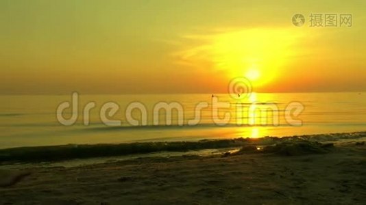 女孩正光着脚在夕阳背景下沿着沙滩散步。 女孩在缓慢地走着视频