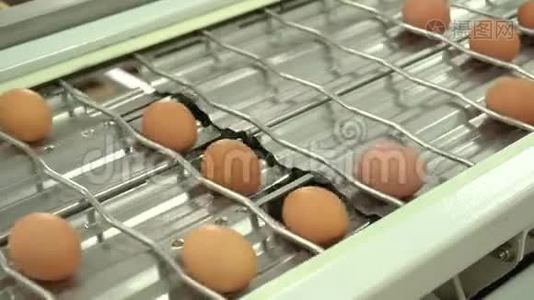蛋厂鸡包装.视频