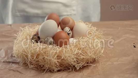 男人从农场的巢里拿走一个鸡蛋视频