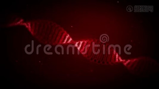 脱氧核糖核酸或DNA视频