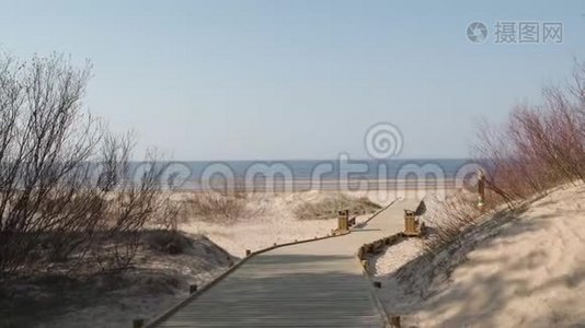 从海滩沙丘森林出发的新的木路，用松树和白色送到波罗的海海湾-拉脱维亚的Vecaki视频