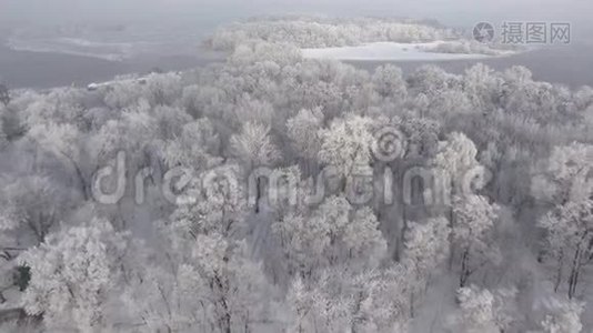 雪地里的森林，俯视，视频