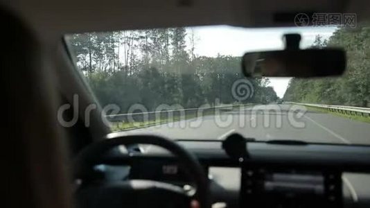 汽车在高速公路上穿过森林视频