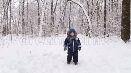 有趣的孩子在冬季公园玩。 冬季景观视频
