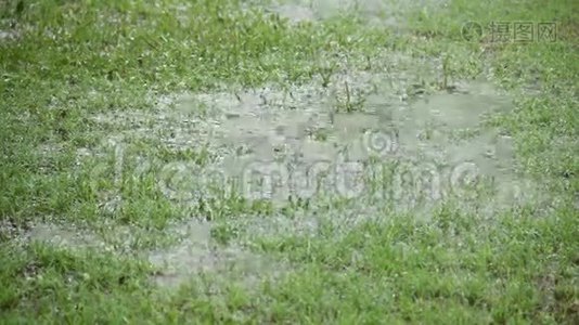 雨在草地上2视频