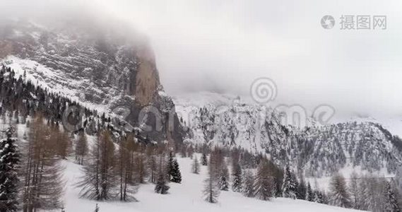 前方空中森林发现雪山。 多云坏阴多雾天气.. 冬季意大利白云石视频