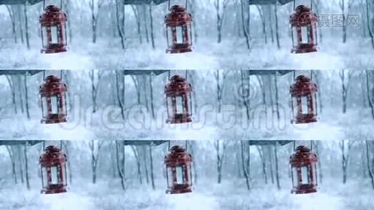 人在冬林中举着红烛灯笼.. 雪林降雪..视频