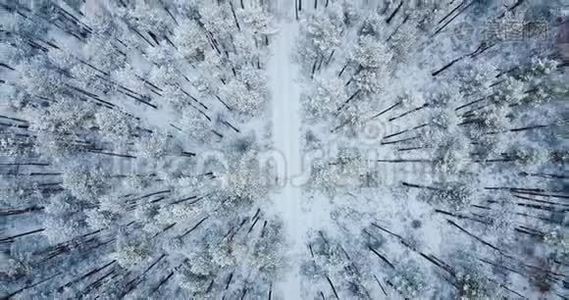 4空中射击。 在冰冻的雪云杉森林上空飞行。 北方冬季景观。 上面的风景。 美丽的自然背景视频