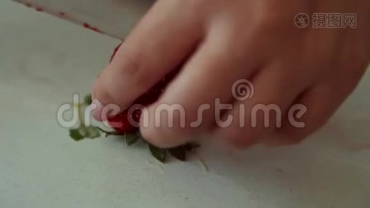 女人用手切新鲜草莓，用刀切切片视频