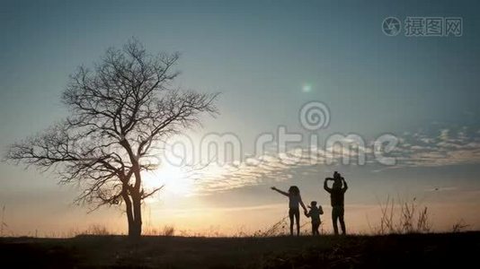 日落时，幸福的家庭在一棵大树附近的草地上散步的剪影。视频