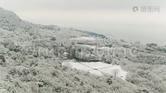 海上白雪覆盖森林的俯视图.. 中枪。 从冬季雪覆盖森林和寒冷的海洋的空中景色视频