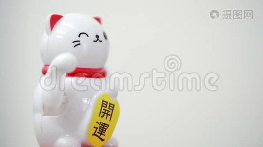 白玛妮克小猫祝你好运视频