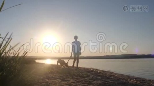 女孩在海滩上用皮带遛狗，迎着夕阳视频