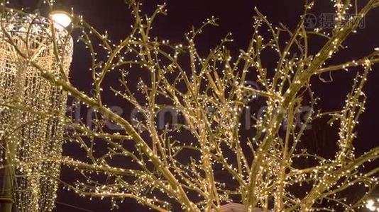 树枝被节日的灯光包裹着。 圣诞街灯。视频
