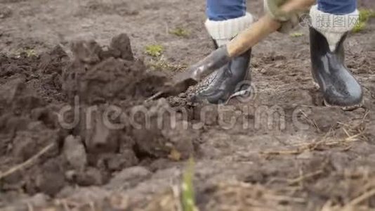 女人用铲子挖地。腿用铲子特写。视频