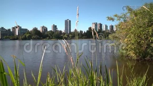 斯坦利公园，失落的泻湖，温哥华4KUHD视频
