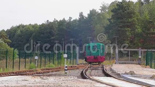 火车头乘火车. 森林铁路的机车地点视频