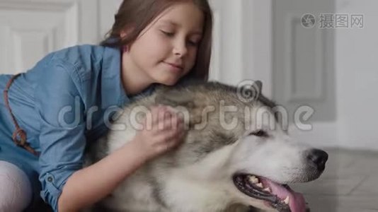 幸福家犬与微笑儿童的友谊或爱宠物动物视频