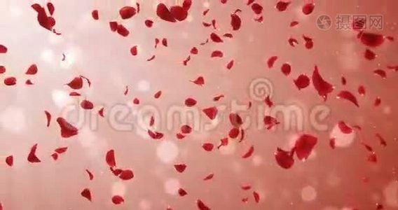 飞翔的浪漫轻红玫瑰花瓣飘落背景回路4k视频