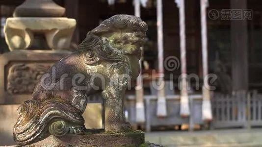 东京神社石像守护犬视频