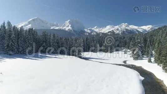 飞越白雪覆盖的云杉森林，背景是群山视频