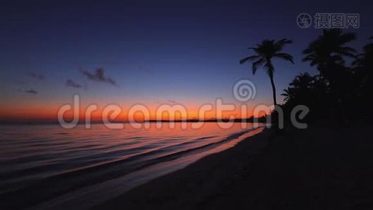 热带岛屿日出。 沙滩，棕榈树，视频视频