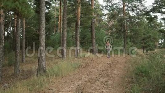 跑步者穿过松林。 一个穿灰色运动服的金发女郎在森林里奔跑。视频