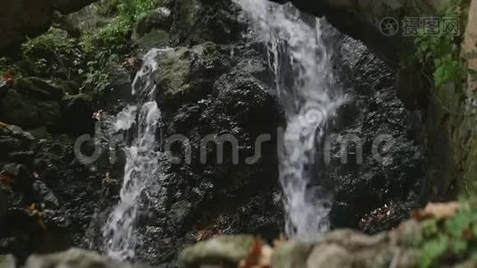 穿过草地和绿色植物的河流视频