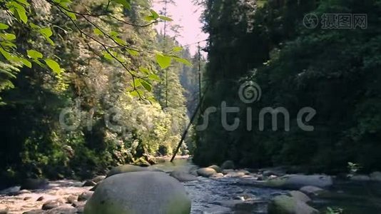 溪流穿过岩石和巨石沿着林恩峡谷公园，北温，不列颠哥伦比亚省，加拿大。视频