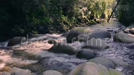 溪流穿过岩石和巨石沿着林恩峡谷公园，北温，不列颠哥伦比亚省，加拿大。视频