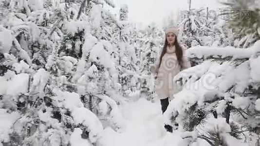 一个美丽的女孩走在白雪覆盖的森林里视频