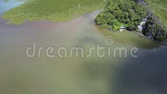 鸟瞰绿色宁静海湾水和白鸟飞翔视频