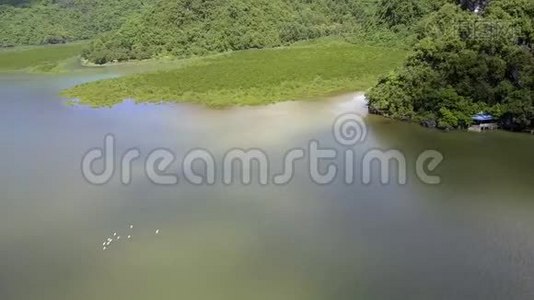 神奇的空中景观绿色宁静湾对抗岛屿视频