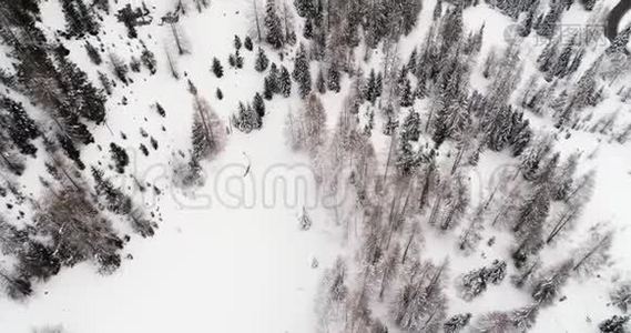 航拍意大利冬季树林雪林多云坏阴多雾天气视频