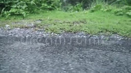 徒步旅行徒步旅行的徒步旅行者冒险，在雨天在湖边的森林里自由行走。视频