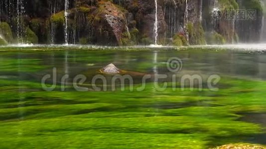 美丽的瀑布和带有绿色水上飞机的淡水池的风景自然视频