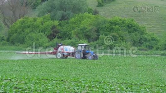 用肥料或化学品喷洒农业植物在工业植物上。视频