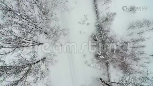 飞越满是雪的道路. 道路附近的树木从顶部看视频