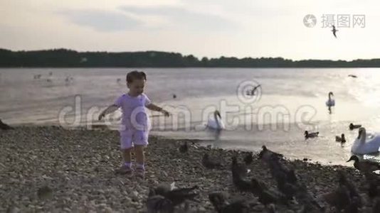 年轻的母亲带着她的小女儿在河边喂天鹅和小鸭子，小鸟在河边吃面包，穿着点缀的裙子视频