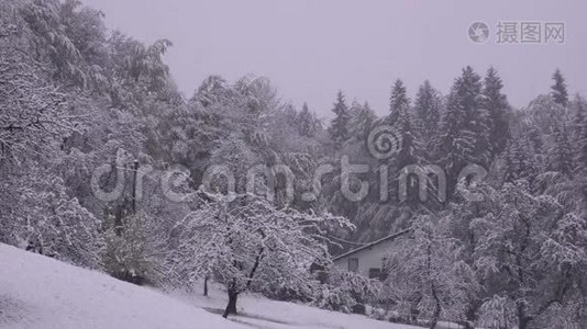 阿尔卑斯山的圣诞降雪视频